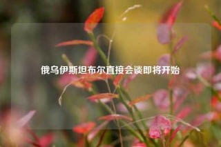 俄乌伊斯坦布尔直接会谈即将开始