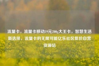 流量卡，流量卡移动19元200g大王卡，智慧生活新选择，流量卡的无限可能亿乐社区低价自营货源站