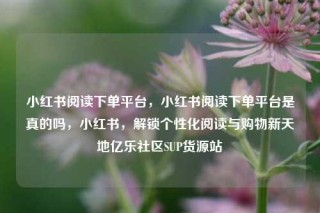 小红书阅读下单平台，小红书阅读下单平台是真的吗，小红书，解锁个性化阅读与购物新天地亿乐社区SUP货源站