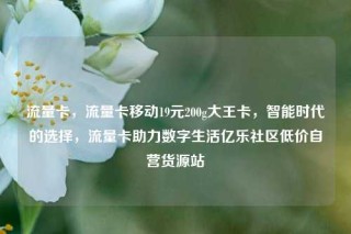 流量卡，流量卡移动19元200g大王卡，智能时代的选择，流量卡助力数字生活亿乐社区低价自营货源站