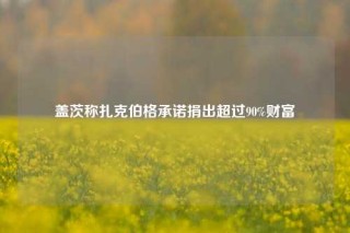 盖茨称扎克伯格承诺捐出超过90%财富