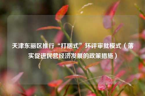 天津东丽区推行“打捆式”环评审批模式（落实促进民营经济发展的政策措施）  第1张
