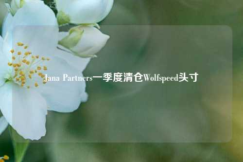 Jana Partners一季度清仓Wolfspeed头寸  第1张