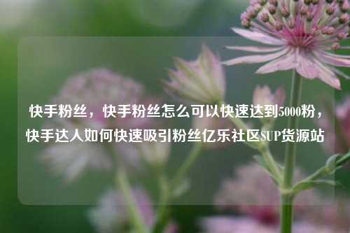 快手粉丝	，快手粉丝怎么可以快速达到5000粉，快手达人如何快速吸引粉丝亿乐社区SUP货源站  第1张