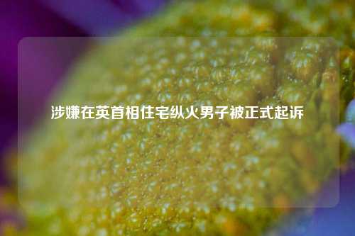 涉嫌在英首相住宅纵火男子被正式起诉  第1张