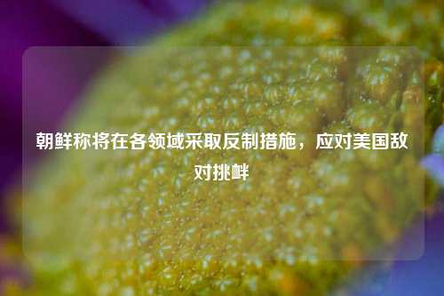 朝鲜称将在各领域采取反制措施	，应对美国敌对挑衅  第1张