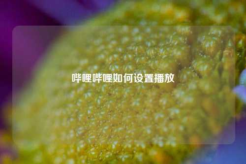 哔哩哔哩如何设置播放  第1张