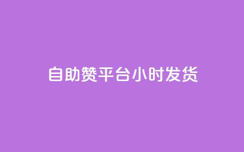 自助赞平台24小时发货,全网超低价24小时业务平台 - 在线卡盟平台 全网最低业务平台便宜快手  第1张