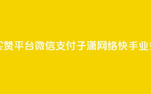 一元一百赞买赞平台微信支付 - 子潇网络快手业务平台  第1张
