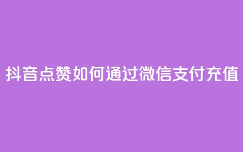 抖音点赞如何通过微信支付充值 第1张 抖音点赞如何通过微信支付充值 第1张