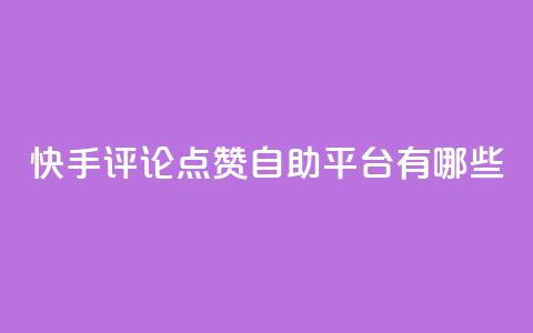 快手评论点赞自助平台有哪些,947卡盟 - 冰天卡盟 网红商店24小时自助购买  第1张
