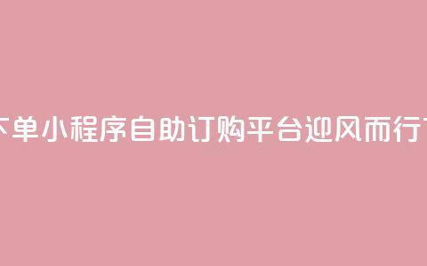 自助下单小程序 - 自助订购平台迎风而行! 第1张 自助下单小程序 - 自助订购平台迎风而行! 第1张