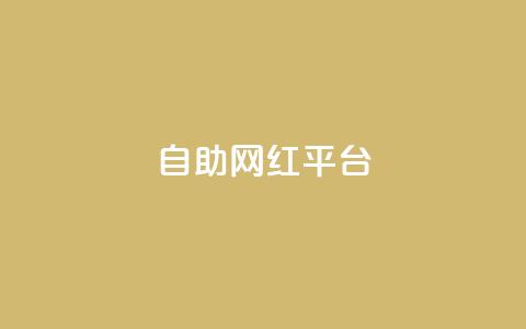 dy自助网红平台,快手一元一万点赞 - 快手业务粉丝永不掉粉 一元一百个赞抖音网站  第1张