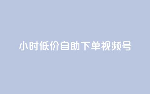 24小时低价自助下单视频号 - 抖音自低价助下单24小时  第1张