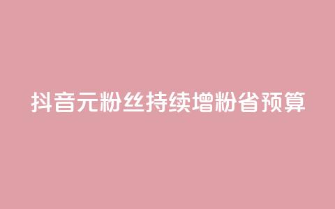 抖音1元3000粉丝持续增粉省预算 第1张 抖音1元3000粉丝持续增粉省预算 第1张