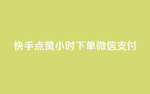 快手点赞24小时下单微信支付,QQ空间动态访问不算访客 - 网红助手点赞 点卡卡盟平台  第1张