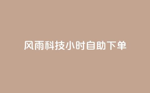 风雨科技24小时自助下单 - 风雨科技推出全天候自助下单服务~  第1张