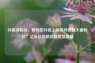 抖音买粉丝，如何在抖音上购买并获取大量粉丝？亿乐社区低价自营货源站
