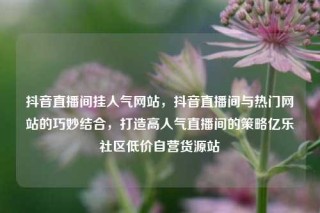 抖音直播间挂人气网站，抖音直播间与热门网站的巧妙结合，打造高人气直播间的策略亿乐社区低价自营货源站