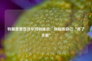 特朗普警告沃尔玛别涨价：你应该自己“吞了关税”