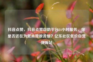 抖音点赞，抖音点赞自助平台24小时服务，你是否还在为低点赞数苦恼？亿乐社区低价自营货源站