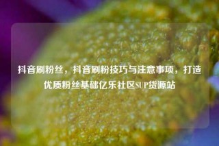抖音刷粉丝，抖音刷粉技巧与注意事项，打造优质粉丝基础亿乐社区SUP货源站