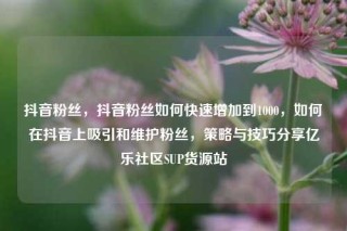 抖音粉丝，抖音粉丝如何快速增加到1000，如何在抖音上吸引和维护粉丝，策略与技巧分享亿乐社区SUP货源站