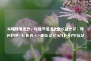 哔哩哔哩播放，哔哩哔哩播放量收益计算，哔哩哔哩，短视频平台的新宠亿乐社区SUP货源站