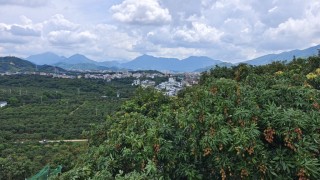 GDP跃居粤东西北第一，“中国荔枝之乡”茂名剑指产业强市