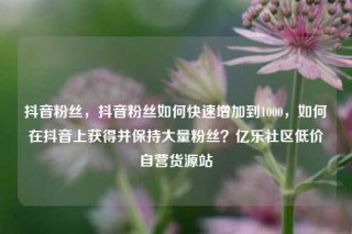 抖音粉丝，抖音粉丝如何快速增加到1000，如何在抖音上获得并保持大量粉丝？亿乐社区低价自营货源站