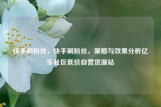 快手刷粉丝，快手刷粉丝，策略与效果分析亿乐社区低价自营货源站