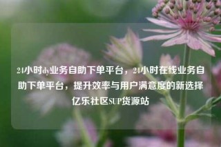24小时dy业务自助下单平台，24小时在线业务自助下单平台，提升效率与用户满意度的新选择亿乐社区SUP货源站