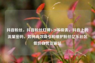 抖音粉丝，抖音粉丝灯牌1-20等级表，抖音上的流量密码，如何高效吸引和维护粉丝亿乐社区低价自营货源站
