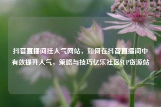 抖音直播间挂人气网站，如何在抖音直播间中有效提升人气，策略与技巧亿乐社区SUP货源站