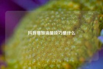 抖音增加流量技巧是什么