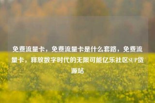 免费流量卡，免费流量卡是什么套路，免费流量卡，释放数字时代的无限可能亿乐社区SUP货源站