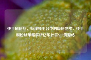 快手刷粉丝，短视频平台中的吸粉艺术，快手刷粉丝策略解析亿乐社区SUP货源站