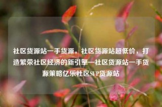 社区货源站一手货源，社区货源站超低价，打造繁荣社区经济的新引擎—社区货源站一手货源策略亿乐社区SUP货源站