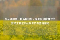 抖音刷粉丝，抖音刷粉丝，策略与风险并存的营销工具亿乐社区低价自营货源站