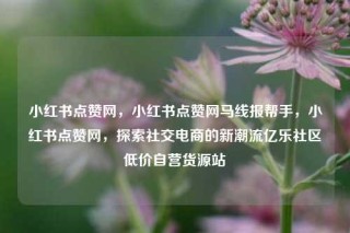 小红书点赞网，小红书点赞网马线报帮手，小红书点赞网，探索社交电商的新潮流亿乐社区低价自营货源站