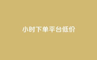 ks24小时下单平台低价,ks点赞业务微信支付 - ks1元100粉 - 24h自助下单彩虹云商城