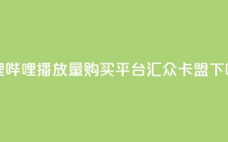 哔哩哔哩播放量购买平台 - 汇众卡盟
