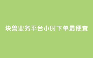 块兽业务平台24小时下单最便宜,卡盟平台登录入口 - qq免费一万访客网站 - 自助平台