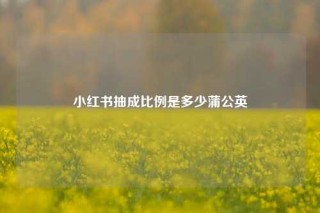 小红书抽成比例是多少蒲公英