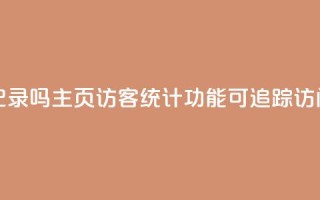 qq主页访客有记录吗 - QQ主页访客统计功能可追踪访问记录！
