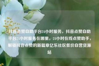 抖音点赞自助平台24小时服务，抖音点赞自助平台24小时服务在哪里，24小时在线点赞助手，解锁抖音点赞的新篇章亿乐社区低价自营货源站
