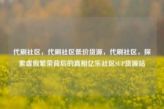 代刷社区，代刷社区低价货源，代刷社区，探索虚假繁荣背后的真相亿乐社区SUP货源站
