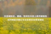 抖音刷粉丝，揭秘，如何在抖音上高效刷取粉丝的秘密攻略亿乐社区低价自营货源站