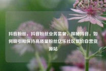 抖音粉丝，抖音粉丝业务套餐，探秘抖音，如何吸引和保持高质量粉丝亿乐社区低价自营货源站