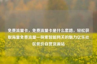 免费流量卡，免费流量卡是什么套路，轻松获取海量免费流量—探索智能网关的魅力亿乐社区低价自营货源站